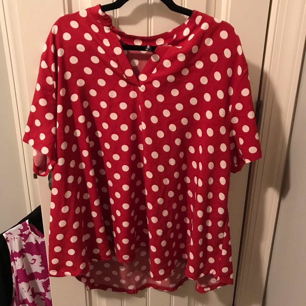 Allegrace polka dot tunic